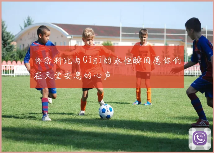 怀念科比与Gigi的永恒瞬间愿你们在天堂安息的心声